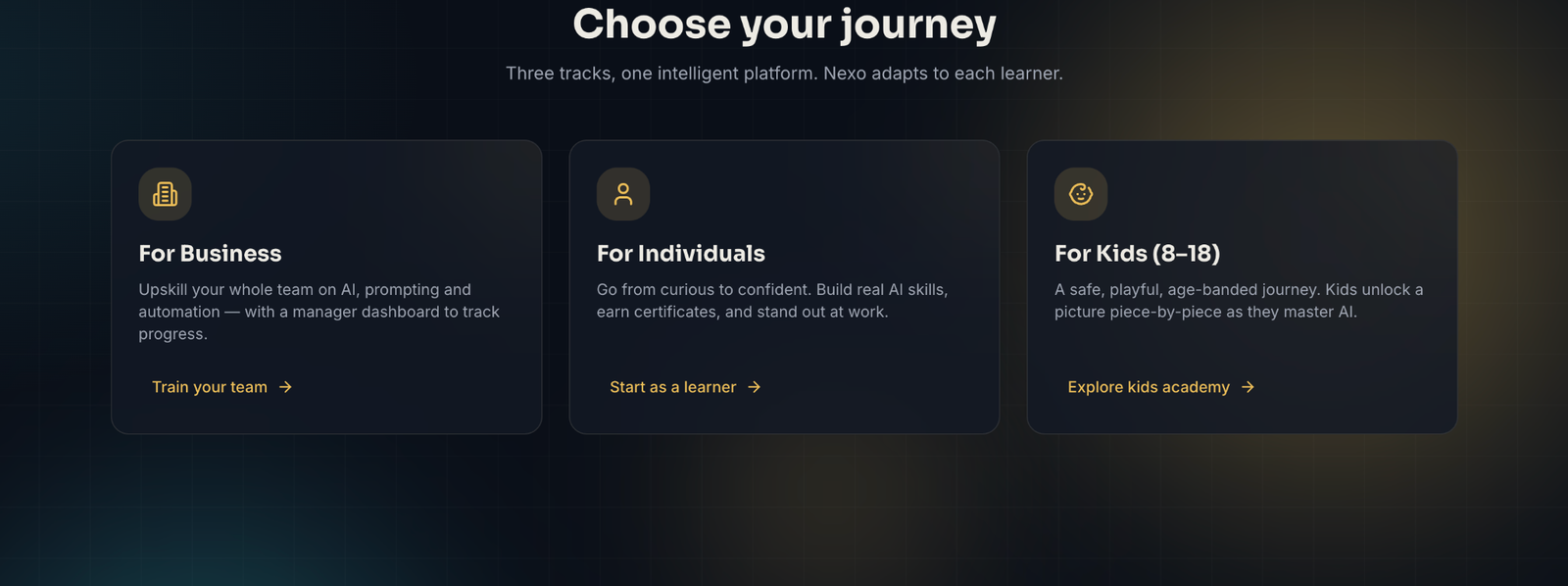 NexoAI Academy journeys for business, individuals and kids