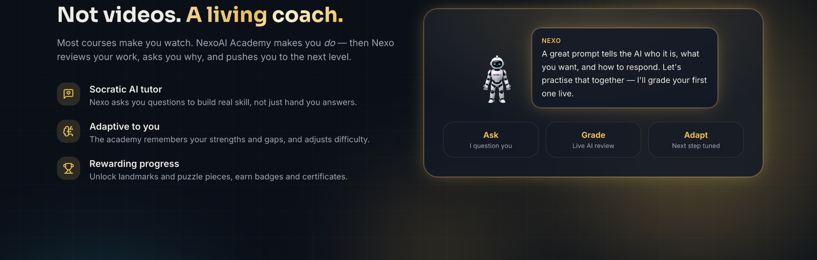 NexoAI Academy AI tutor interaction showing ask, grade and adapt behaviours
